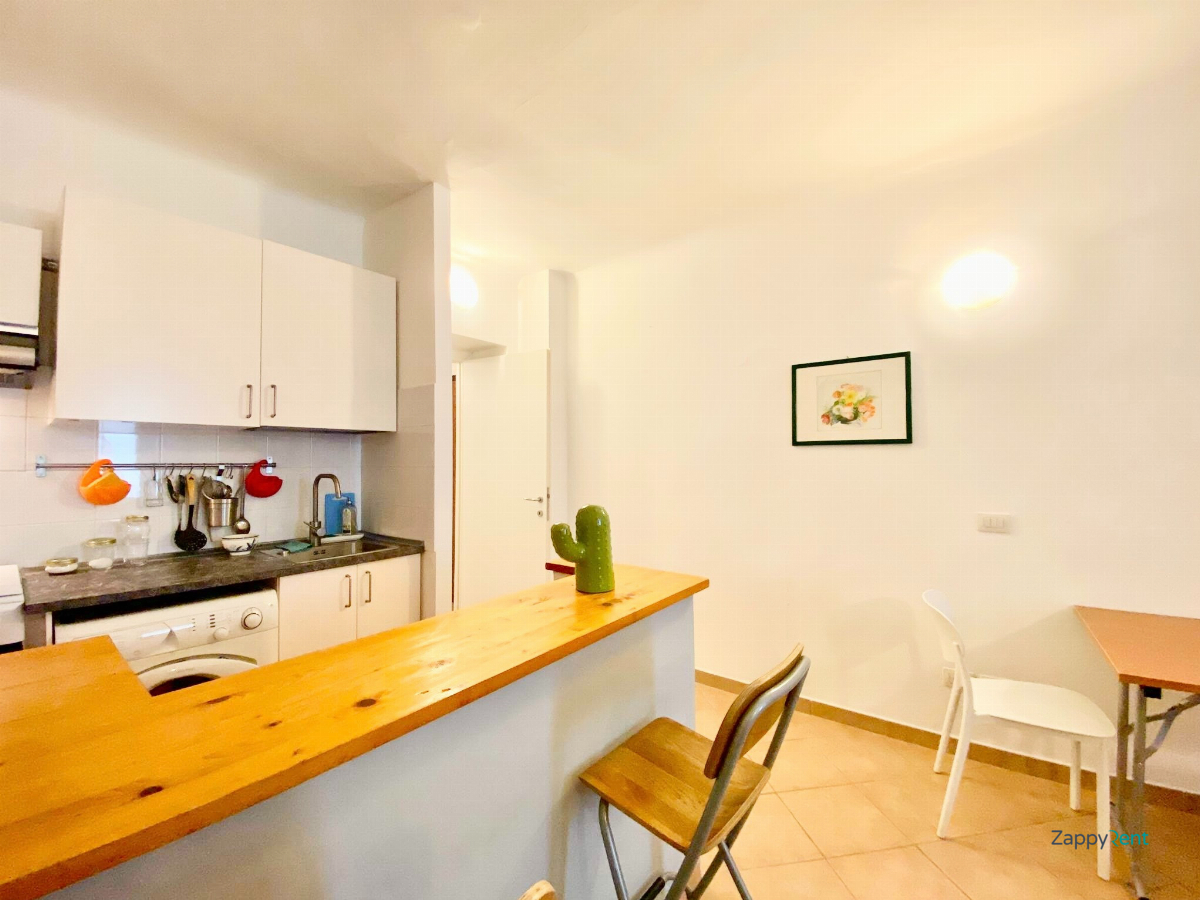2 room apartment in Via Luigi Canonica, Milano